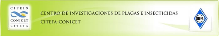 &iquest;Qu&eacute; es el CIPEIN?