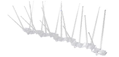 Pinches de palomas. Control de Aves y palomas.