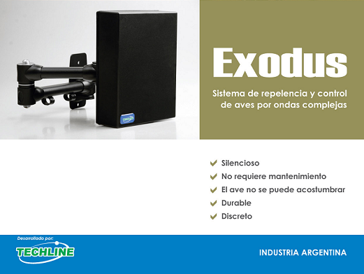 Trucos para mejorar el efecto de los aparatos de ultrasonido para ratas.