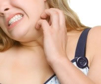 Parásitos Ficticios y Fobias a los Insectos imaginarios.