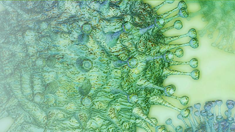 Limpieza y desinfeccion ambiental para prevenir el COVID-19